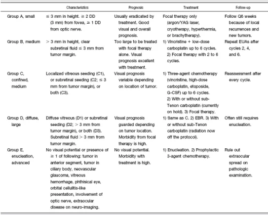 Tabel 2.2. Strategi Penatalaksanaan RB berdasarkan International  Classification of Retinoblastoma 