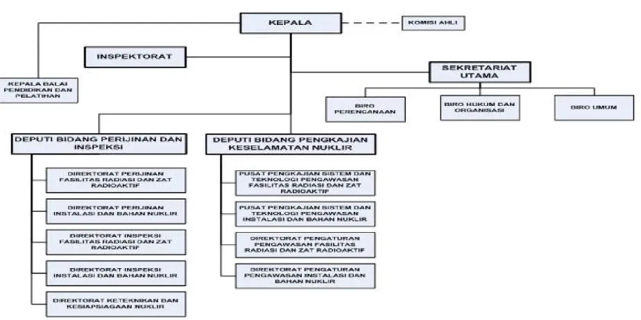 Gambar 3. 4 Struktur organisasi BAPETEN 