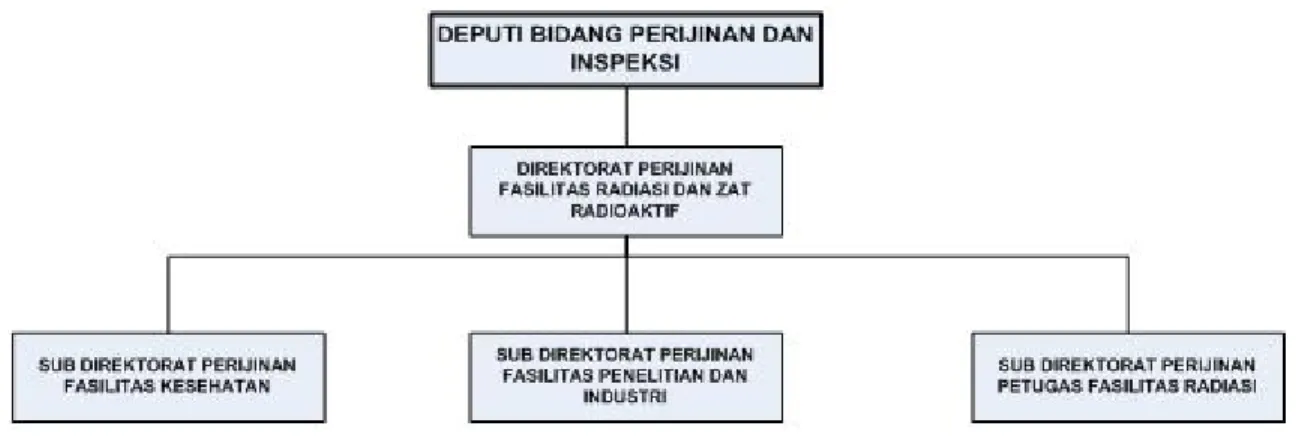 Gambar 3.6 Struktur organisasi DPFRZR 