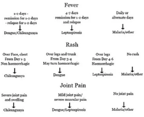 Tabel 6. Diagnosis banding leptospirosis 21
