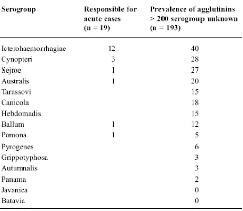 Tabel 1. Serogrup leptospira 24