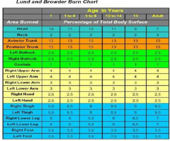 Gambar 6. Lund and Browder Chart 