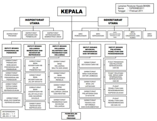 Gambar 1 : Struktur Organisasi BKKBN 