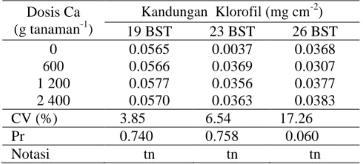 Tabel 7. Kandungan klorofil TBM-2 kelapa sawit  pada berbagai taraf pemupukan unsur Ca  Dosis Ca  (g tanaman -1 )  Kandungan  Klorofil (mg cm -2 )  19 BST  23 BST  26 BST  0  0.0565  0.0037  0.0368  600  0.0566  0.0369  0.0307  1 200  0.0577  0.0356  0.037