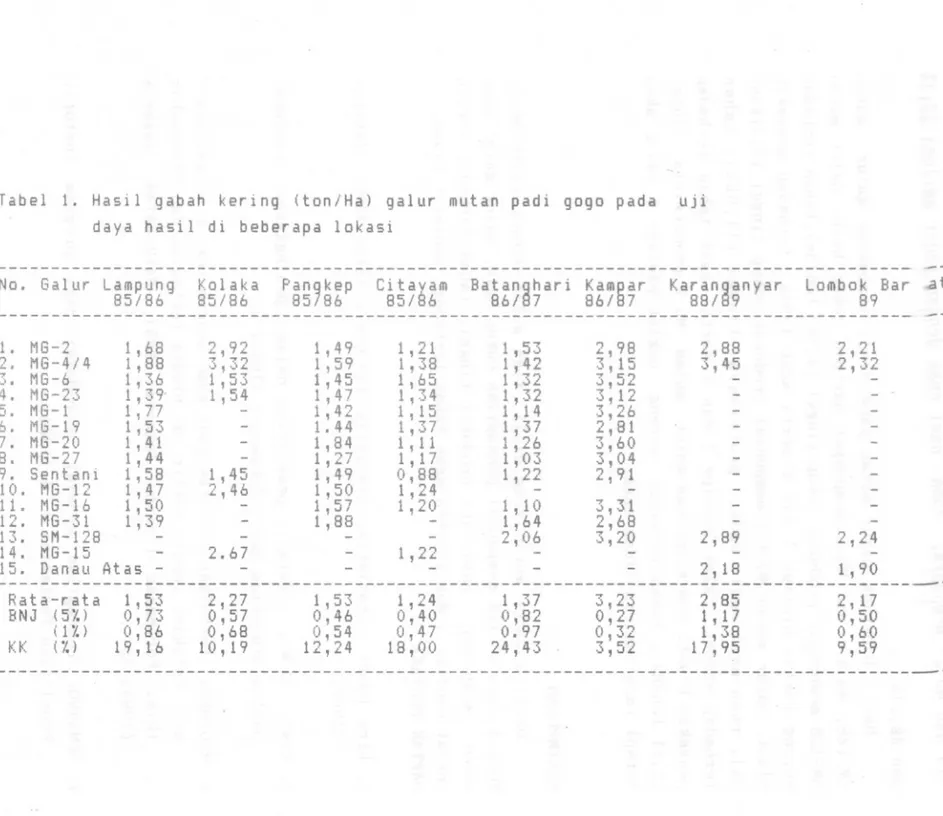 Tabel 1. Hasil gabah kering (ton/Ha) galur mutan padi gogo pada uji daya hasil di beberapa lokasi