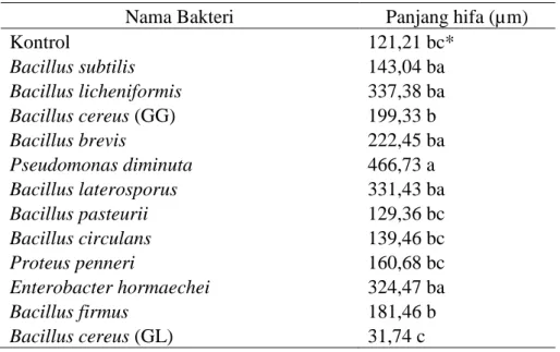 Tabel 5  Perkembangan hifa mikoriza  