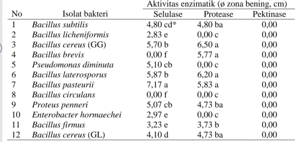 Tabel 6 Aktivitas enzimatik (diameter halo (cm) ) bakteri yang diisolasi dari spora     Gigaspora sp