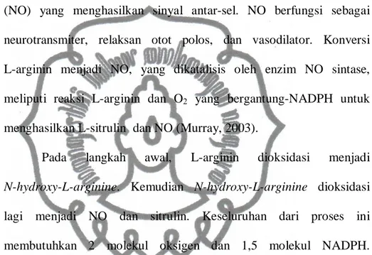 Gambar  2.  Konversi  L-arginin  Menjadi  NO  dan  Sitrulin  yang  Dikatalisis Oleh Enzim NO Sintase (Murray, 2003)