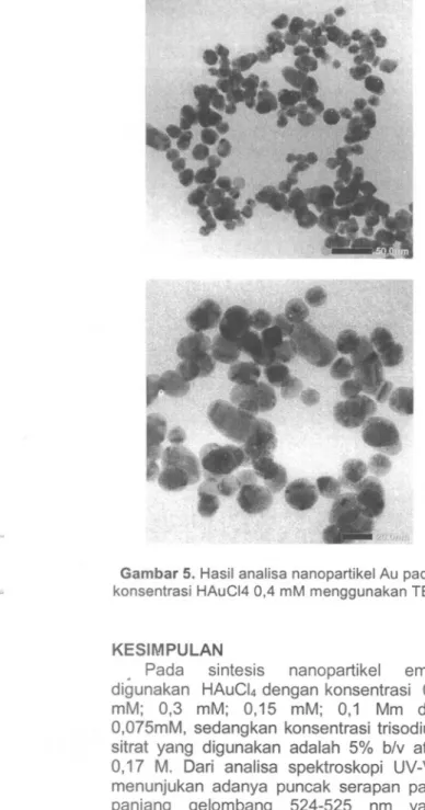 Gambar 5. Hasil analisa nanopartikel Au pada konsentrasi HAuCI4 0,4 mM menggunakan TEM
