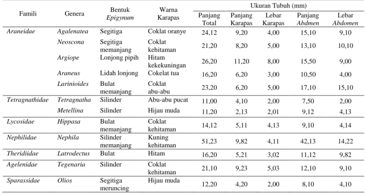 Gambar 2. Genera Laba-laba di Hutan Sebelah Darat Desa Lingga Tabel 1. Karakter Morfologi Laba-laba di Hutan Sebelah Darat Desa Lingga