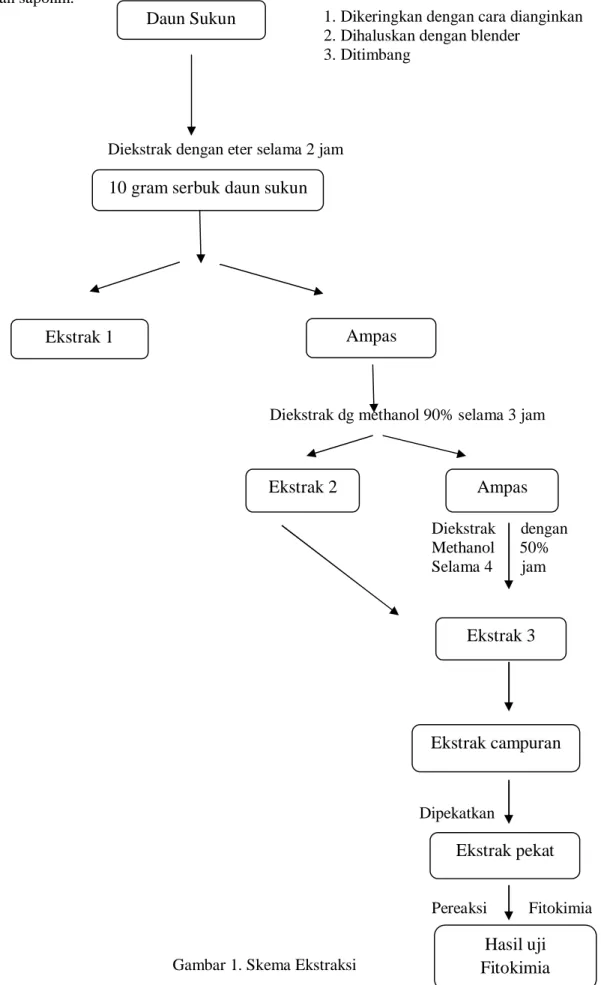 Gambar 1. Skema Ekstraksi 