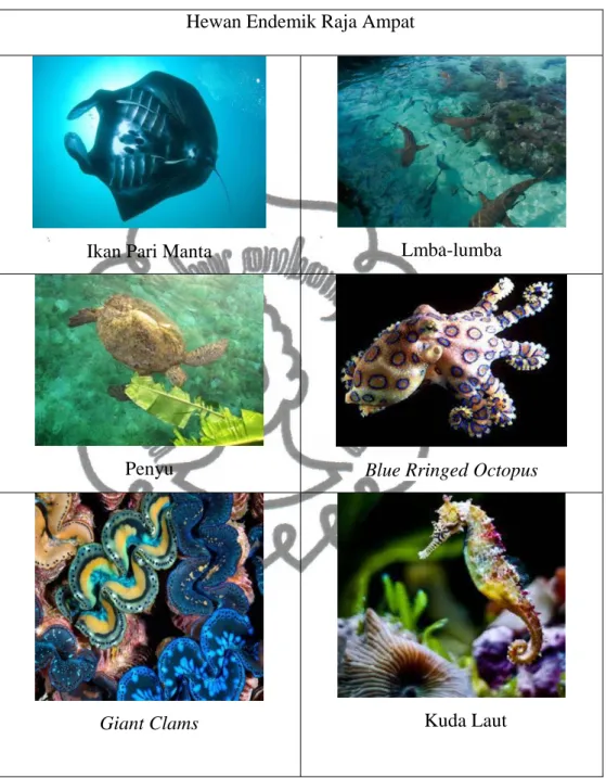Tabel 1. Ikan Endemik Raja Ampat  Sumber: Ronald M, 2014 