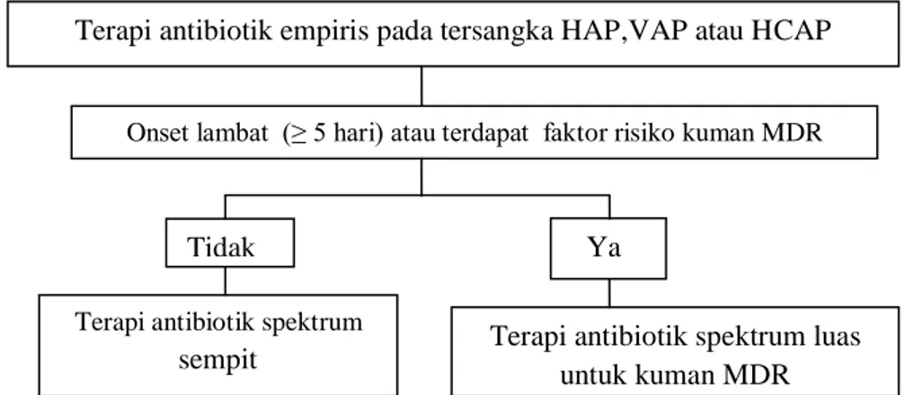 Gambar 1 Algoritma pemberian terapi antibiotik pada HAP, VAP dan HCAP 2 Prinsip  strategi  de-eskalasi  yaitu  strategi 