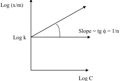 Gambar 12.Grafik Isoterm Freundlich 