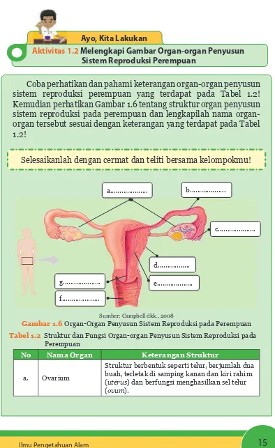 Gambar 1.6 Organ-Organ Penyusun Sistem Reproduksi pada Perempuan