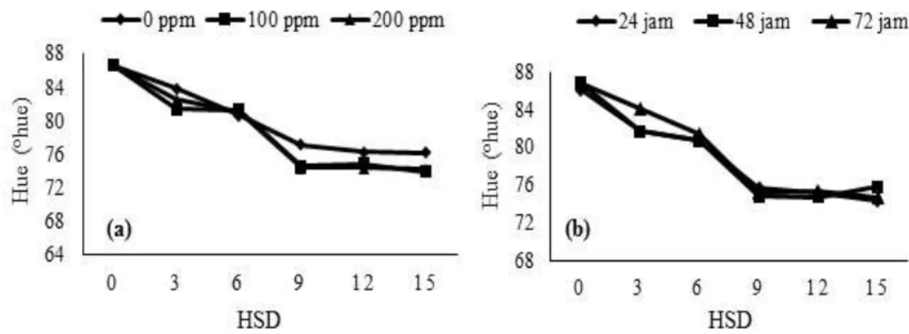 Gambar 2. Penurunan nilai hue buah jeruk siam Banyuwangi selama penyimpanan pada perlakuan  (a) konsentrasi etilen dan (b) durasi pemaparan etilen  