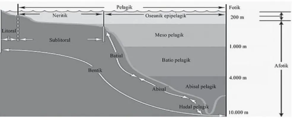 Gambar  10. Zonasi perairan laut berdasarkan kedalamannya 