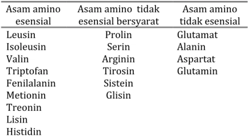 Tabel 2.4: Klasifikasi asam amino  Asam amino 