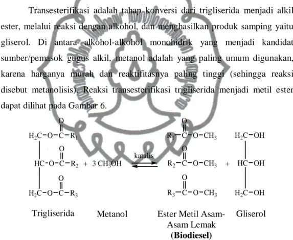 Gambar  6.  Reaksi  transesterifikasi  dari  trigliserida  menjadi  metil  ester  asam- asam-asam lemak 
