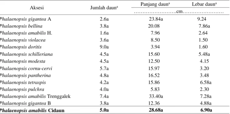 Tabel 1. Rata-rata jumlah daun, panjang daun dan lebar daun beberapa aksesi anggrek Phalaenopsis spesies 