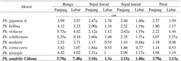 Tabel 2. Rata-rata panjang dan lebar bunga, sepal dan petal beberapa aksesi anggrek Phalaenopsis spesies 
