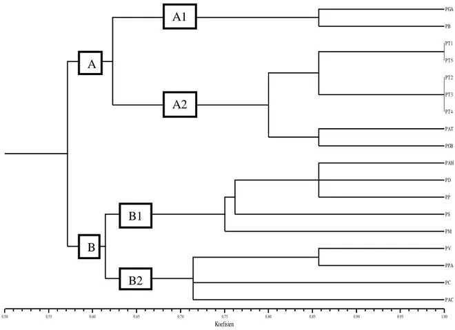 Gambar 1. Dendogram 67 tanaman anggrek Phalaenopsis spesies berdasarkan karakter morfologi pada daun  Gerombol  B  memiliki  anggota  yang  lebih 