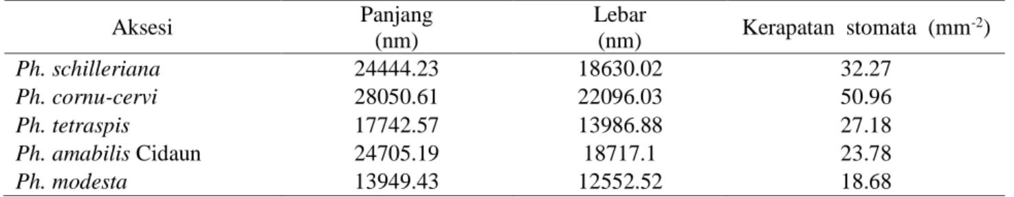 Tabel 3. Rata-rata panjang, lebar dan kerapatan stomata anggrek Phalaenopsis spesies 