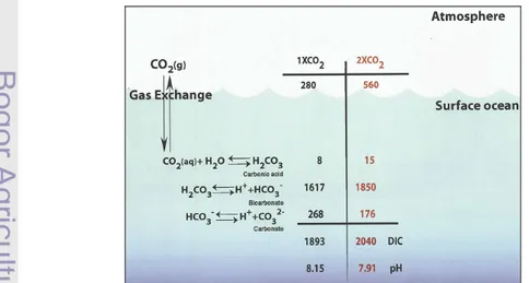 Gambar 4.  Sistem karbonat di laut (konsentrasi CO 2  dalam satuan µmol/kg) 