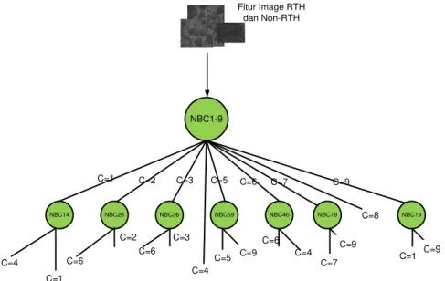 Gambar 3.3 Contoh struktur multi model NBC untuk klasifikasi image objek RTH 