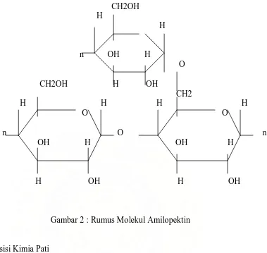 Gambar 2 : Rumus Molekul Amilopektin 