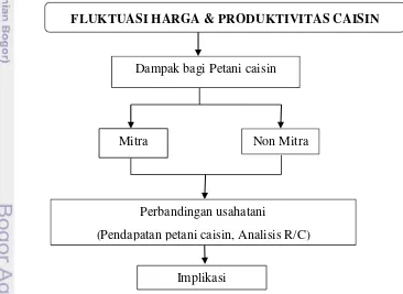 Gambar 7 Kerangka Pemikiran Operasional  Perbandingan Usahtani Caisin 