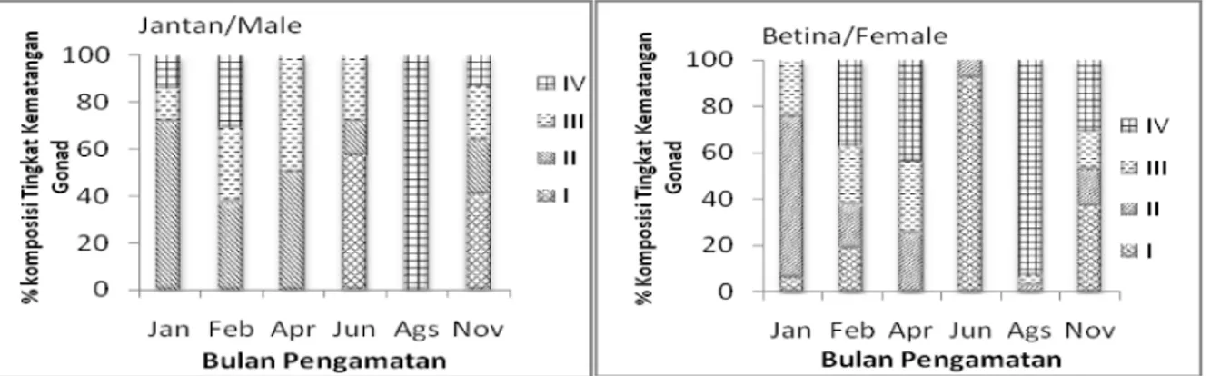 Table 1. Length – weight relationship of splendid pony fish (L. splendens) in Banten waters, 2012