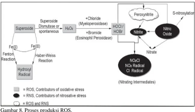 Gambar 8. Proses produksi ROS. 