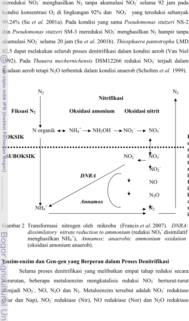 Gambar 2  Transformasi   nitrogen  oleh   mikroba   (Francis et al. 2007).   DNRA: 