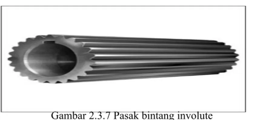 Gambar 2.3.7 Pasak bintang involute