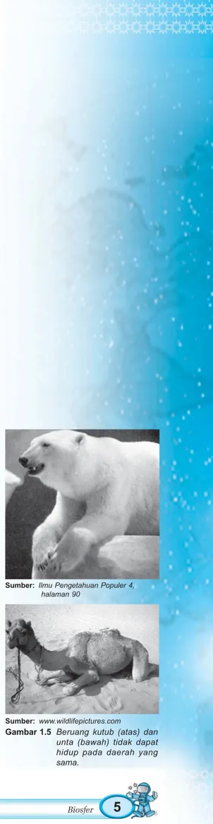 Gambar 1.5 Beruang kutub (atas) dan unta (bawah) tidak dapat hidup pada daerah yang sama.