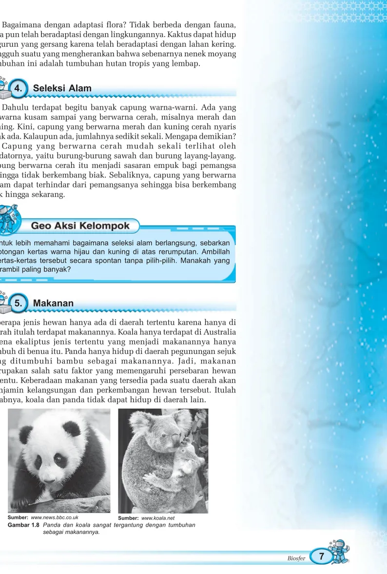 Gambar 1.8 Panda dan koala sangat tergantung dengan tumbuhan sebagai makanannya.