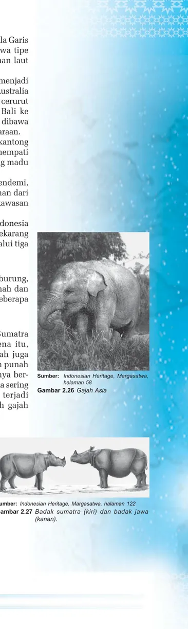 Gambar 2.26 Gajah Asia