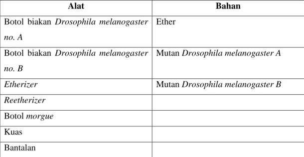 Tabel 3.1 Alat dan Bahan Persilangan Drosophila melanogaster 