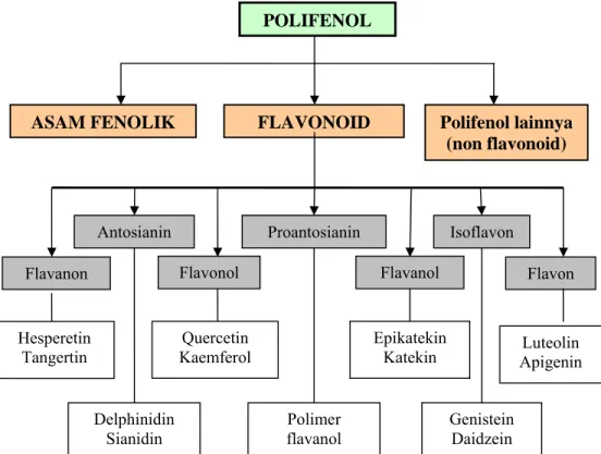 Gambar 4 Pembagian kelas flavonoid ( Murphy  et al, 2003; CIC 2001) 