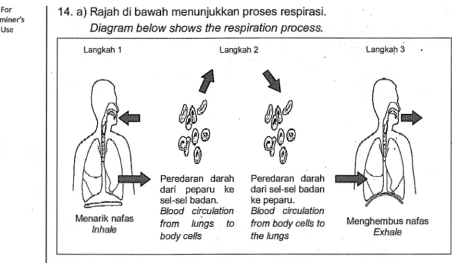 Diagram below shows the respiration process. 