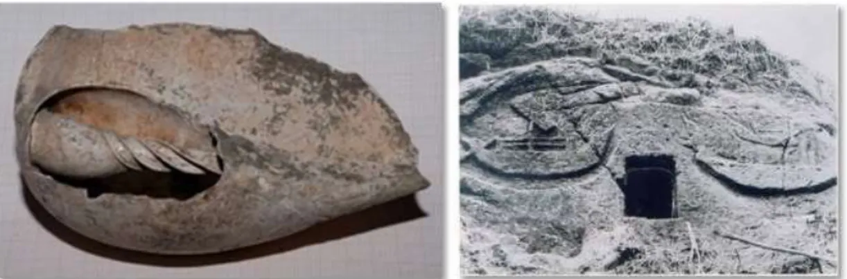 Gambar 1. Sebuah Family Volutidae yang berkaitan dengan aspek religi pada masa Neolitik dan  pahatan perahu yang mengapit lubang Gua Umang di Limau Mungkur, Sinembah, Deli Serdang  