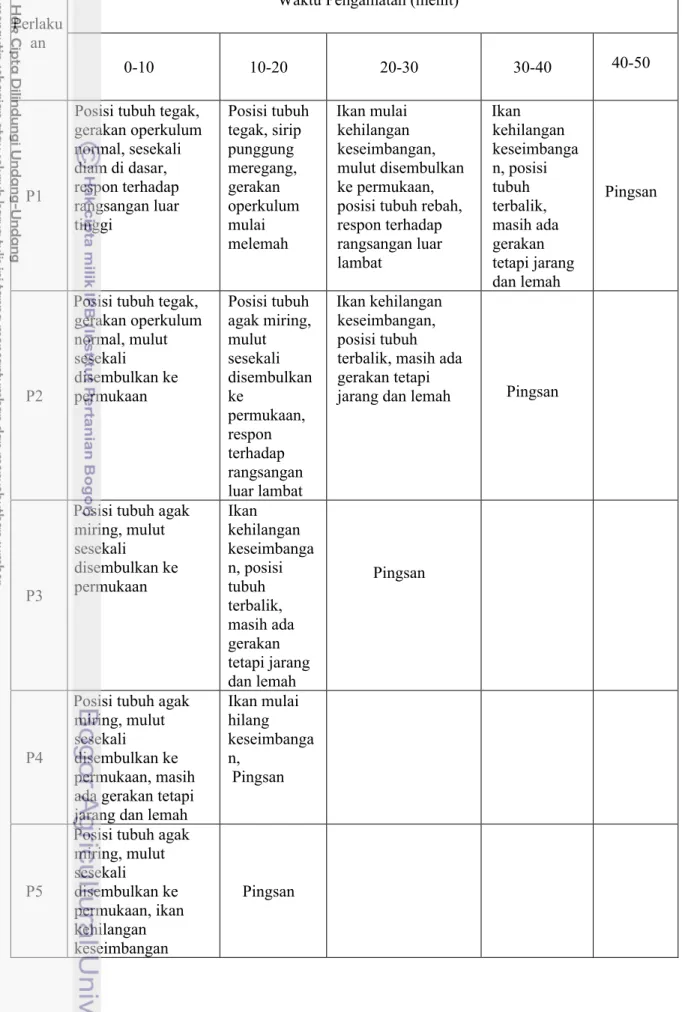 Tabel 5 Tingkah laku ikan nila pada proses perendaman ACP  Waktu Pengamatan (menit)