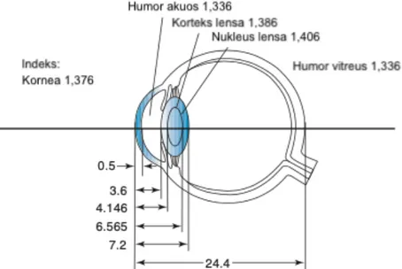 Gambar 4.  Indeks refraksi komponen optik Gullstrand schematic eye   Dikutip dari: Brodie dkk