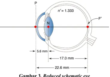 Gambar 3. Reduced schematic eye   Dikutip dari: Brodie dkk. 1    