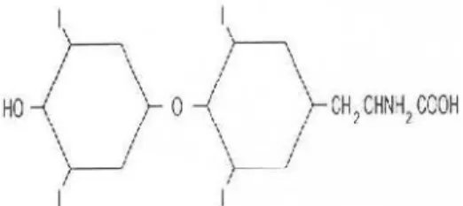 Gambar 2.7. Struktur Iodine (Wang et.al; 2005).