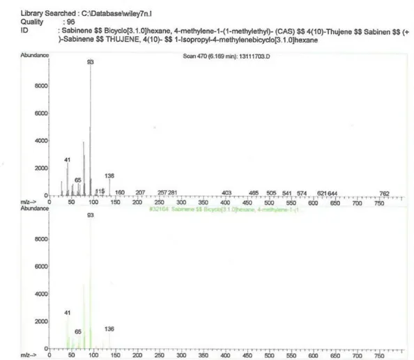 Gambar  6  Spektrogram  Komponen  Minyak  Atsiri  Daun  Sirih  Hijau  (Piper  betle L.) dengan % area tertinggi 