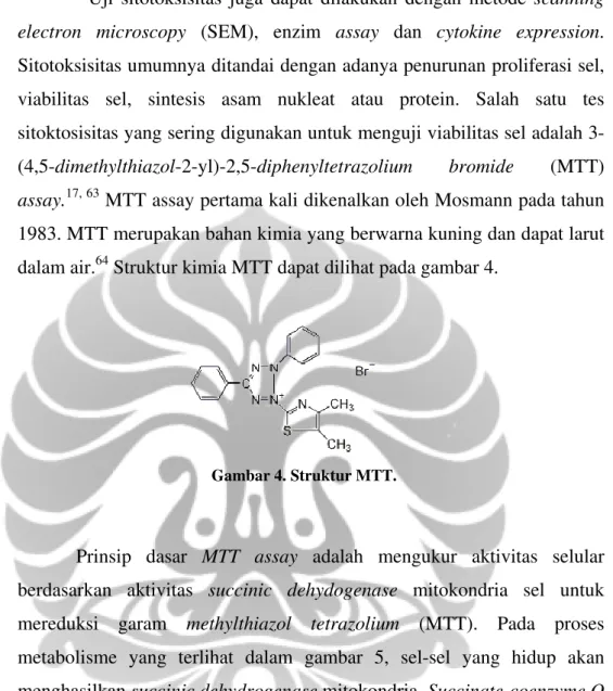 Gambar 4. Struktur MTT. 