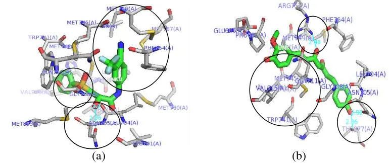 Gambar 6 Visualisasi molecular docking dari interaksi (ikatan hidrogen, interaksi hidrofobik dan interaksi eletrostatik) (a) bikalutamida, (b) analog 2 terhadap reseptor androgen dengan PyMOL 1.3 