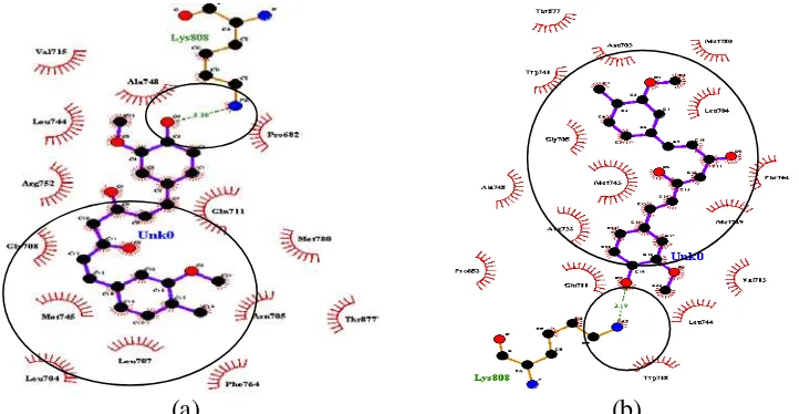 Gambar 7 Visualisasi molecular docking dari interaksi (ikatan hydrogen, interaksi hidrofobik dan interaksi elektrostatik) (a) kurkumin, (b) analog 5 terhadap reseptor androgen dengan LigPlot+ 1.5.4 